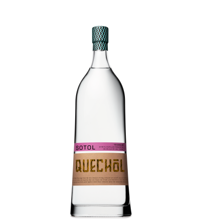 Quechol Sotol Texanum