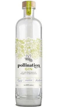 Dyfi Gin Pollination